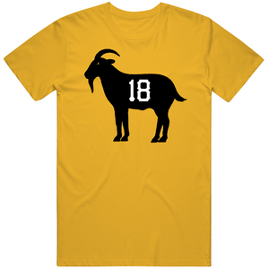 theSteelCityTshirts Andy Van Slyke Property of Pittsburgh Baseball Fan T Shirt Premium / Black / Small
